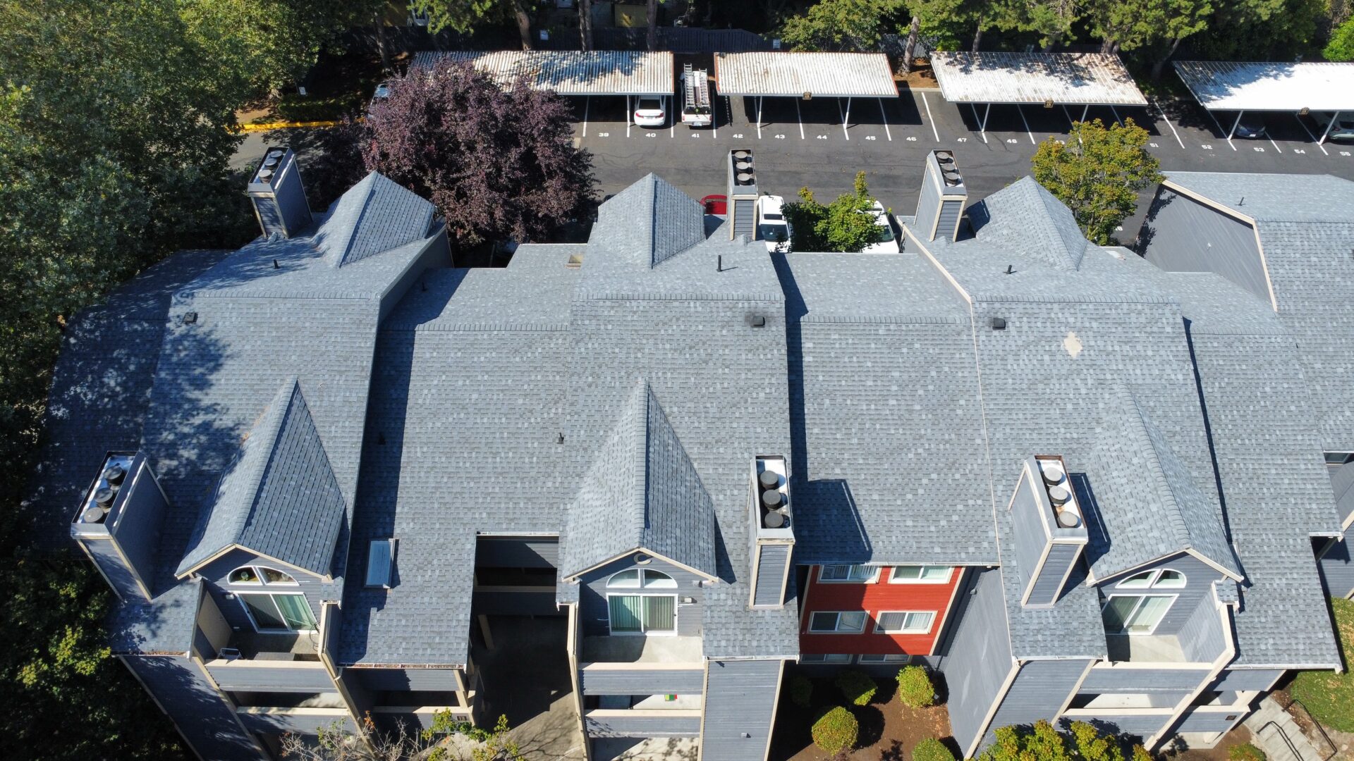 Architectural Shingle Roof: South Hill Family Home