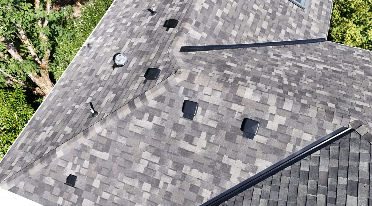 Moss Treatment & Roof Tune-Up: Lakewood